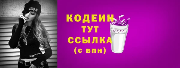 МДПВ Каменногорск