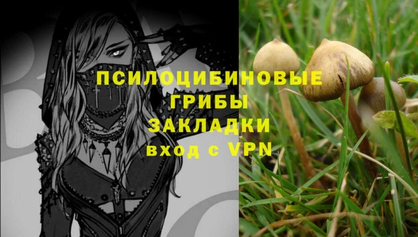 не бодяженный Каменск-Шахтинский
