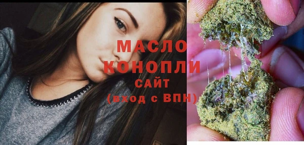 МДПВ Каменногорск