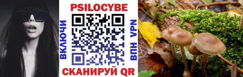 Купить  Ивангород  Псилоцибиновые грибы мухоморы 