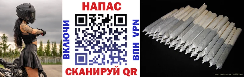 Бошки марихуана планчик  Купить где  Ивангород 